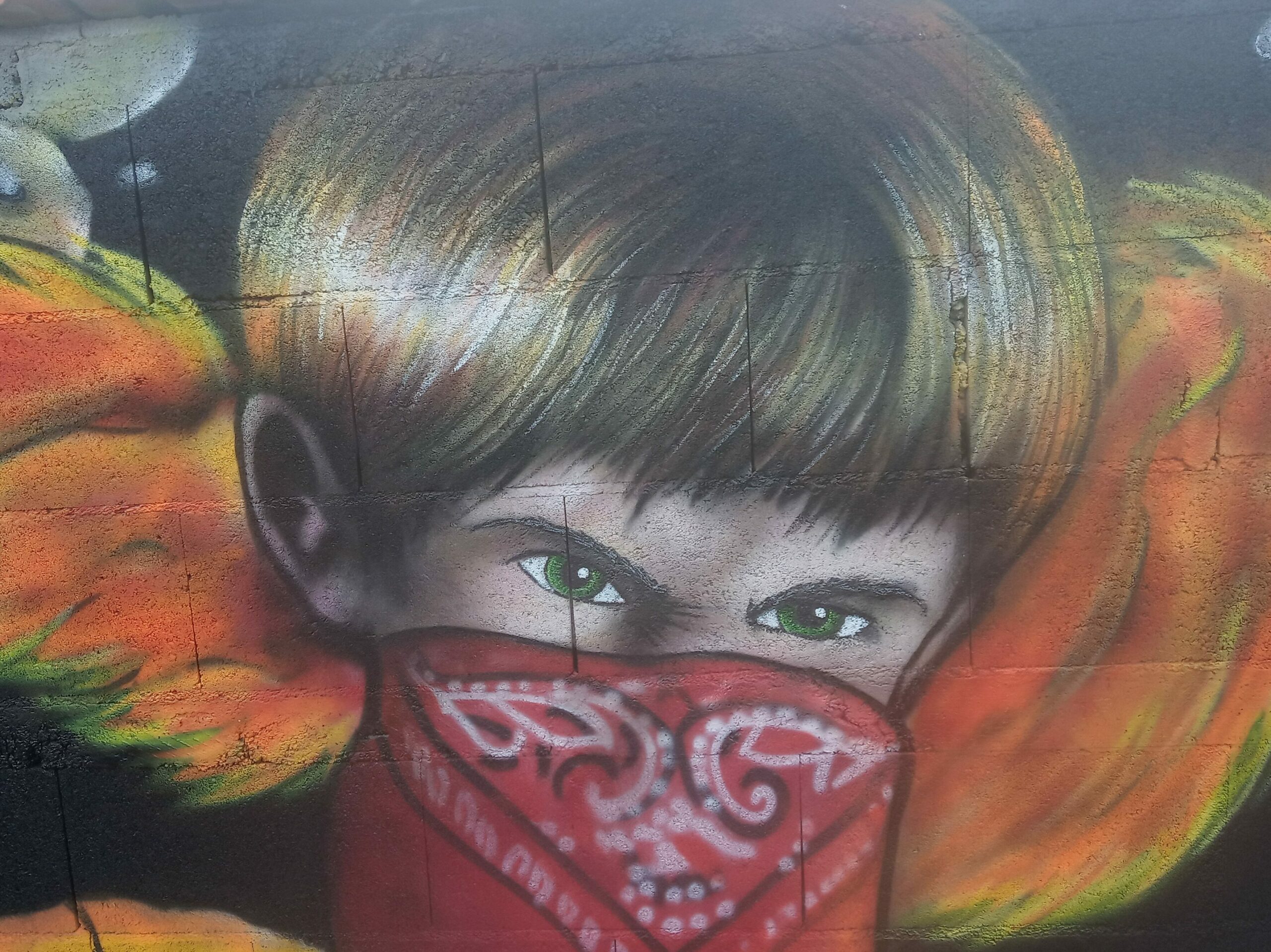 FRESQUE MURALE GRAFFITI chez des particuliers sur le thème de la révolte "RIOT BOY"